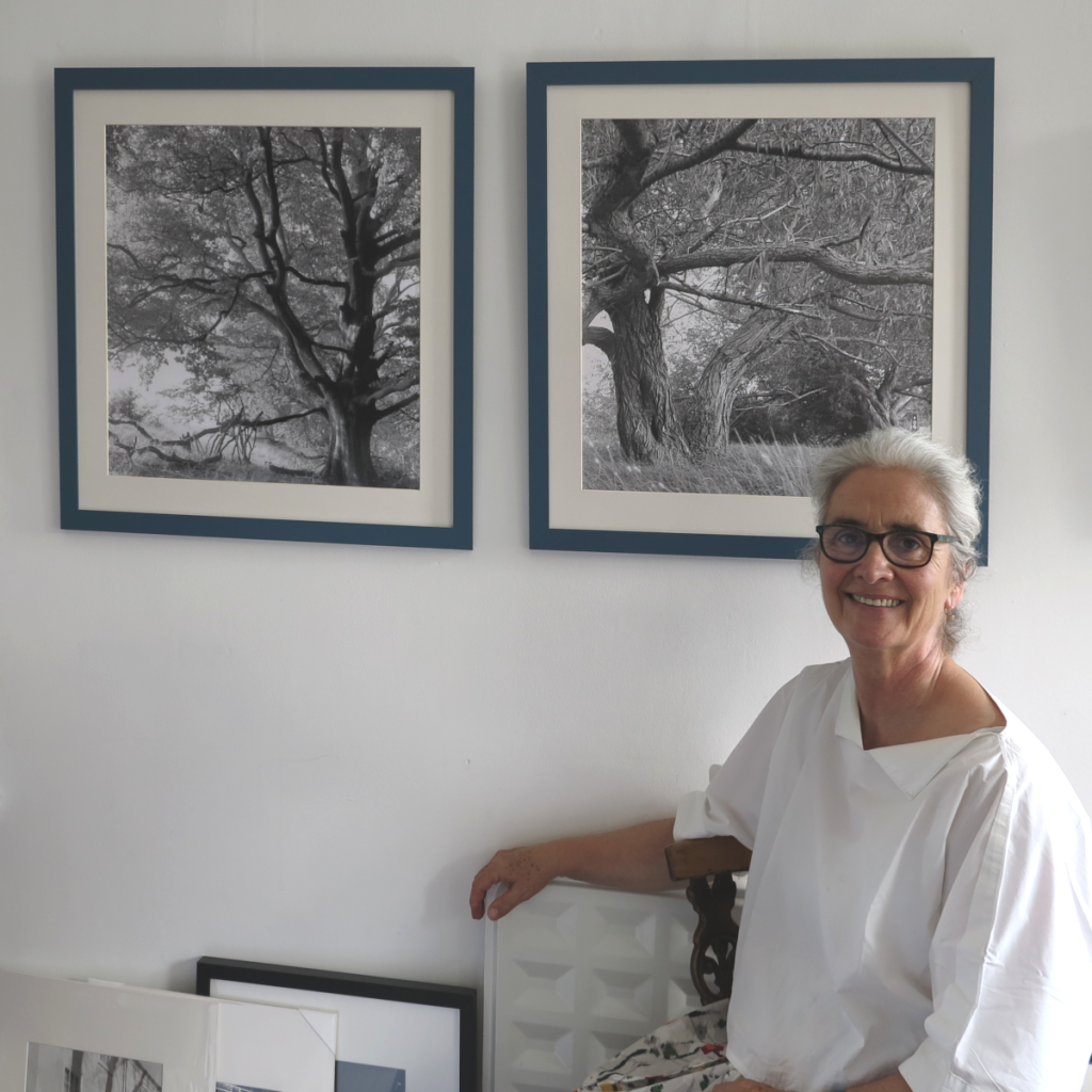 Woman sitting in front of 2 large black and white photographs. One of a huge beech tree and one of willow trees